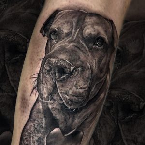 Retrato black and grey de perro en el antebrazo